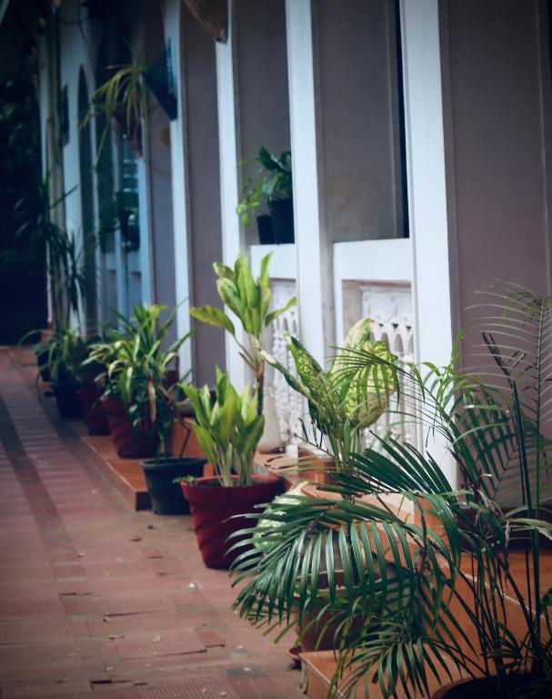 Fotografie z fotogalerie ubytování Paradise Inn Beach Resort v destinaci Varkala