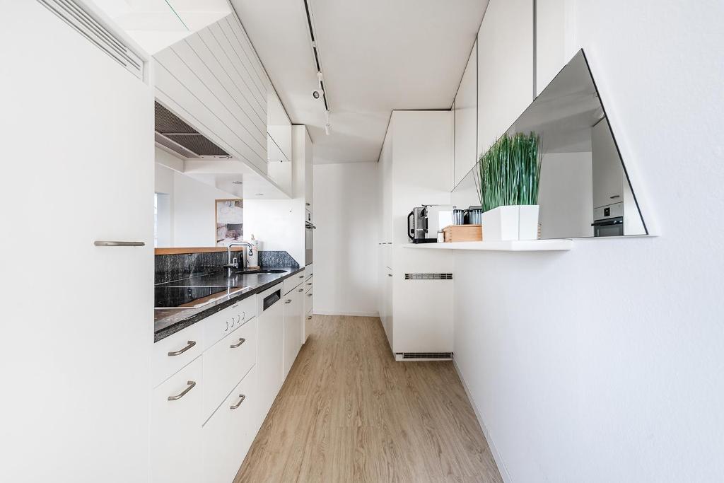 Kuchyň nebo kuchyňský kout v ubytování SOHO Penthouse