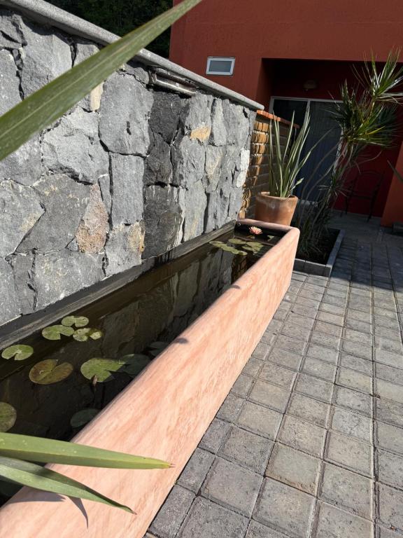 Bungalow Tepoztlán - Appartement Avec Vue Sur Montagne