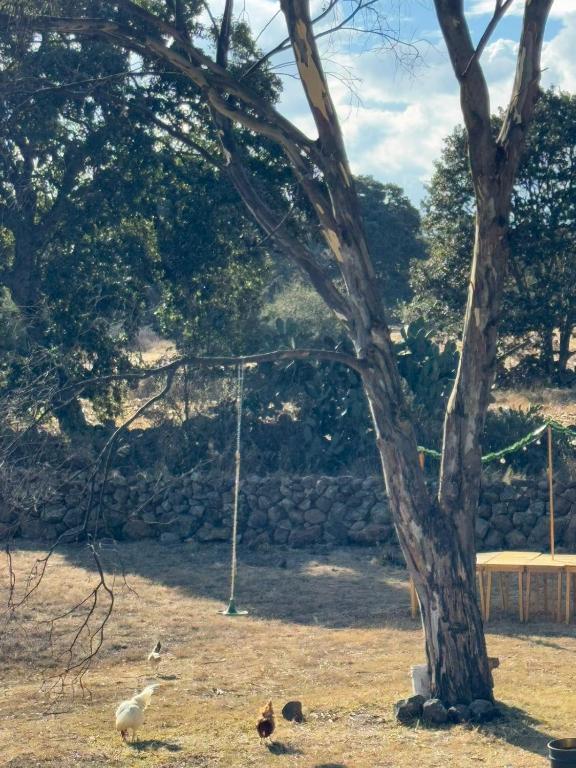 Fotografie z fotogalerie ubytování El Cilindro v destinaci Amealco