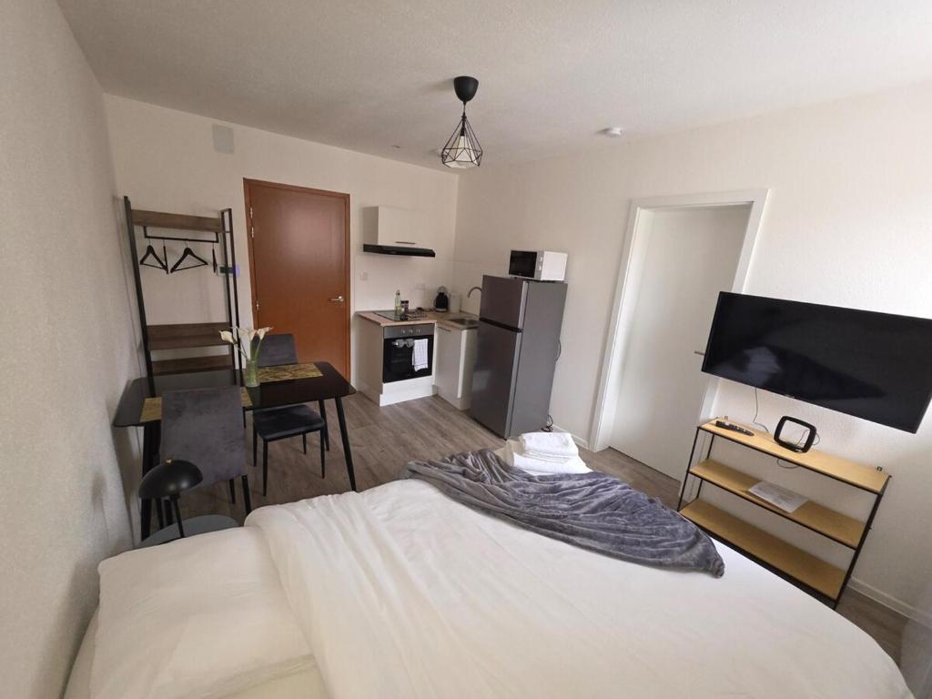 une chambre avec un lit et une cuisine avec une table dans l'établissement studio cactus, à Mulhouse