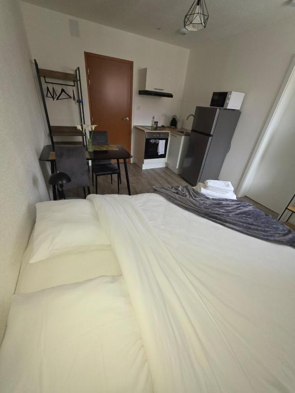 Studio "Cactus" moderne, confortable et au centre ville – photo 3