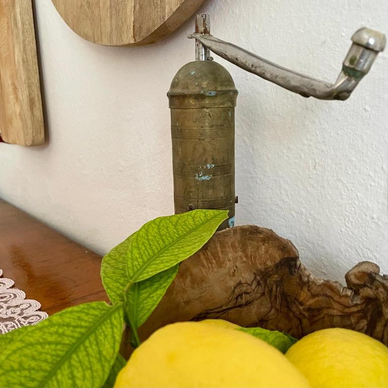 Afbeelding uit fotogalerij van Guesthouse RAMAJ in Perondi