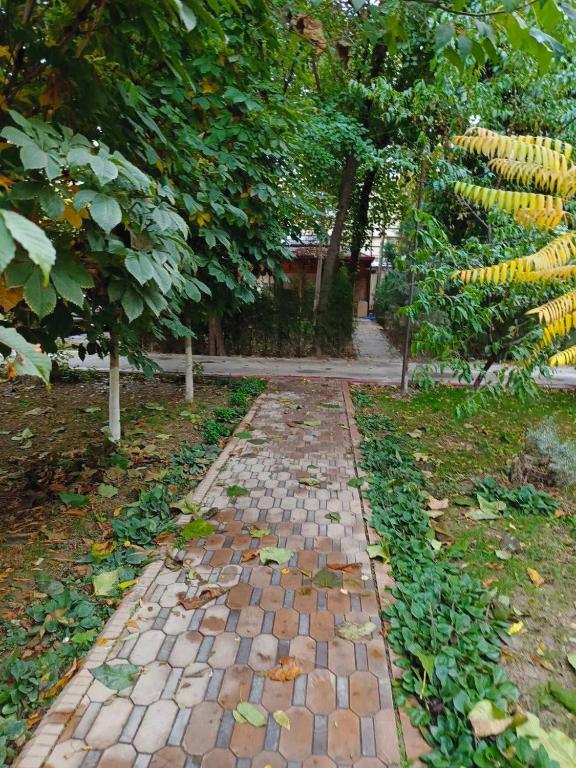 Κήπος έξω από το apartments green area