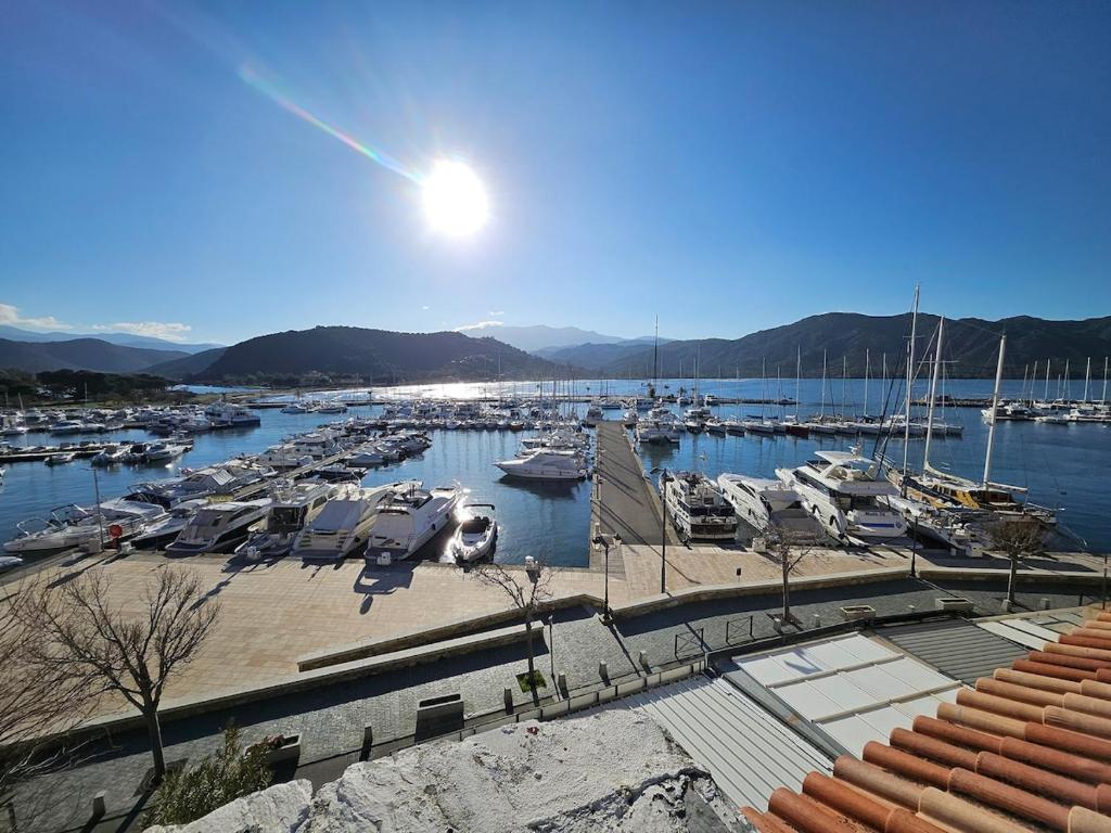 a marina filled with lots of boats in the water at Appartement sur le port in Saint-Florent
