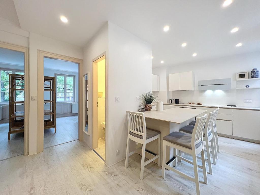 une cuisine avec une table et des chaises dans une pièce dans l'établissement Spacious 2 bedroom accommodation Petite France, à Strasbourg