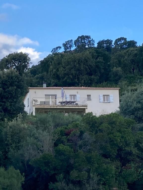 une maison blanche au sommet d'une colline avec des arbres dans l'établissement Villa à Tavaco Corse, à Tavaco