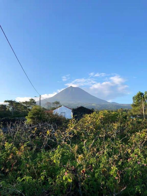 a mountain in the distance with a house in a field at Casa 3 Picos 1 in São Roque do Pico