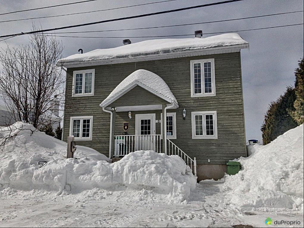 Saint Aime Des LacsChalet des aviateurs的雪覆盖的房子