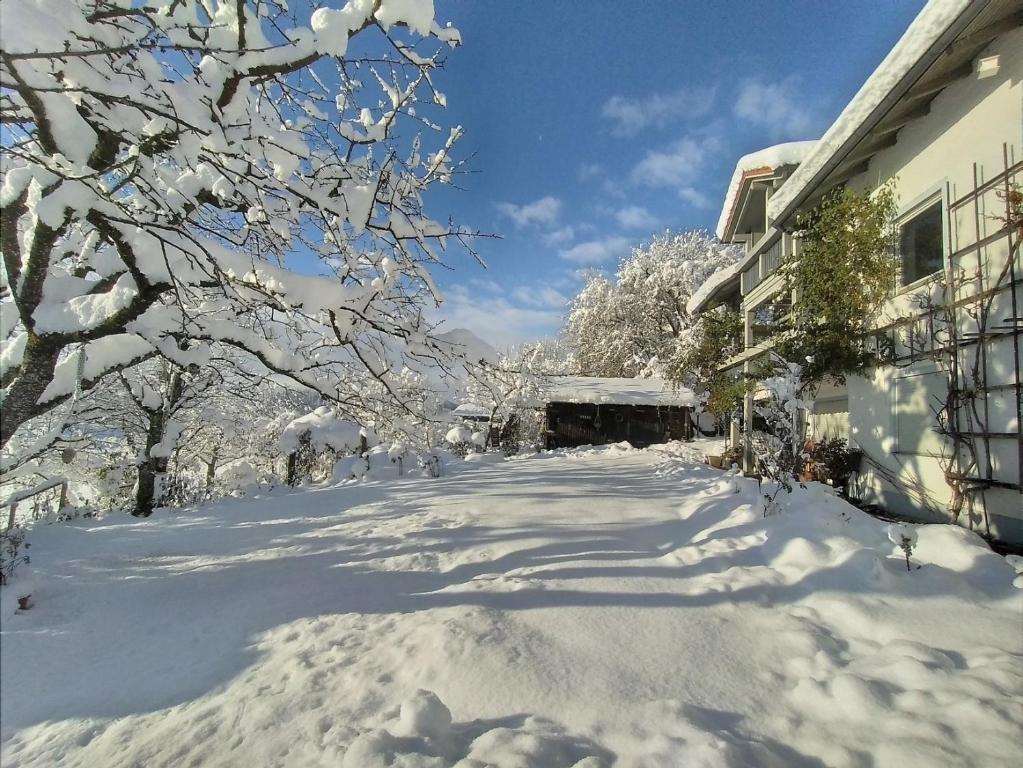 5 Sterne Ferienwohnung Alpenblick nur für Urlaubsgäste v zimě