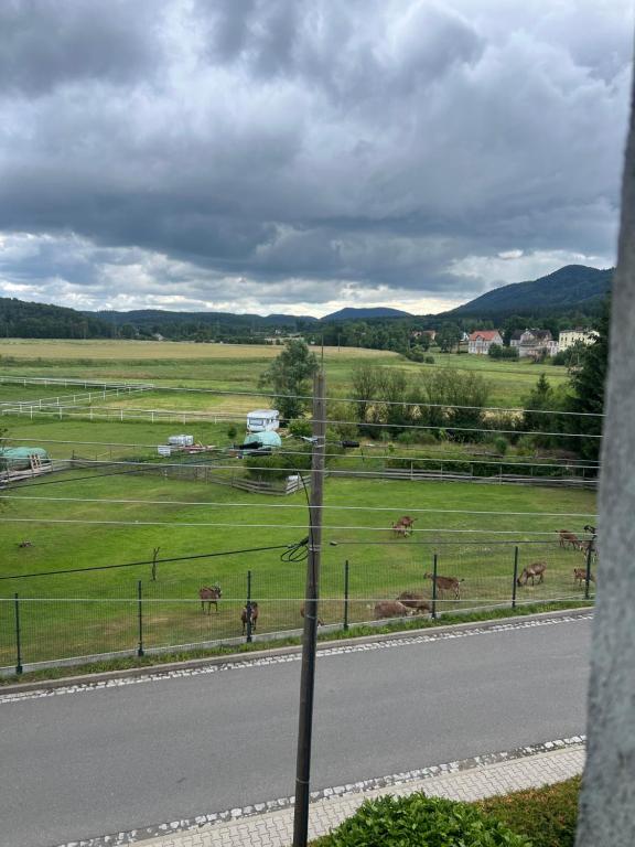 Příroda nedaleko apartmánu
