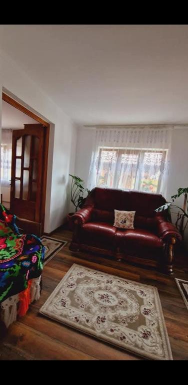 Posezení v ubytování Pensiunea Rustic Oncesti