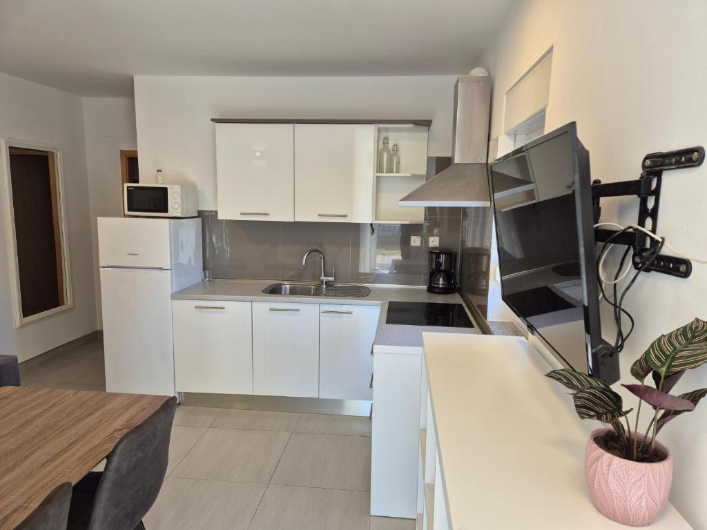 Kuchyňa alebo kuchynka v ubytovaní Nova Apartments