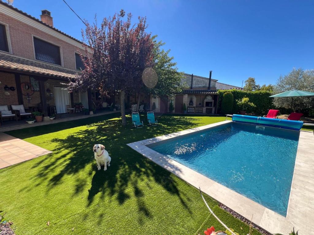 a dog standing in the grass next to a swimming pool at Casa Villa Luna in Magaz De Pisuerga