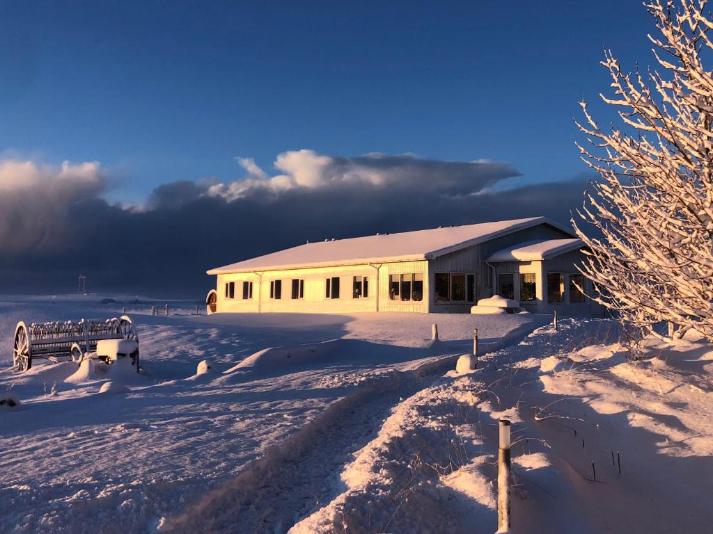 a building in the snow with a bench in front of it at Lambastadir Guesthouse in Selfoss