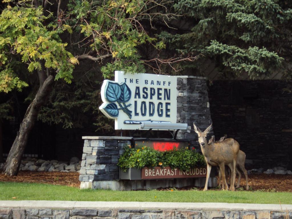 Animales en el hotel o alrededores