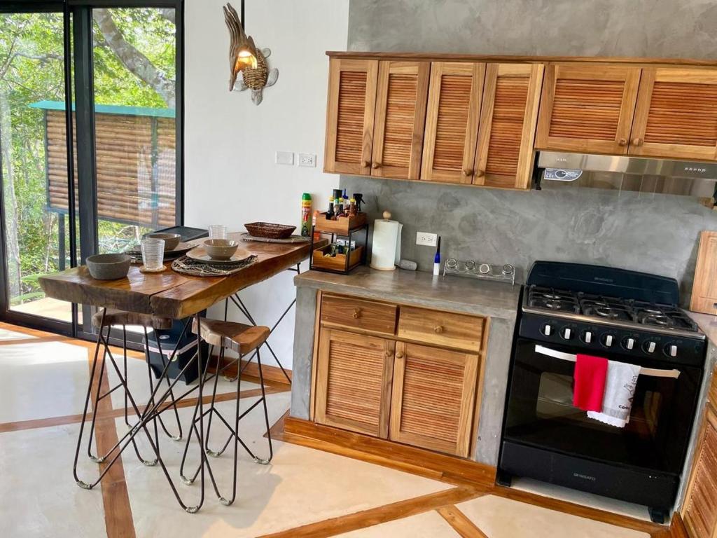 Kuchyň nebo kuchyňský kout v ubytování Villas Isla Escondida