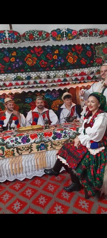 Hosté ubytování Pensiunea Rustic Oncesti