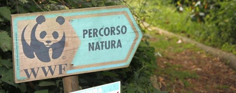 Certifikát, hodnocení, plakát nebo jiný dokument vystavený v ubytování B&B MiraValle