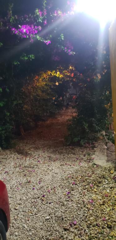 Zahrada ubytování Casa "Los Jarochos" sencilla