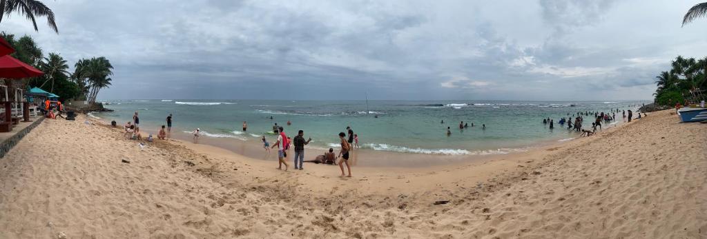 Phong cảnh thiên nhiên gần căn hộ