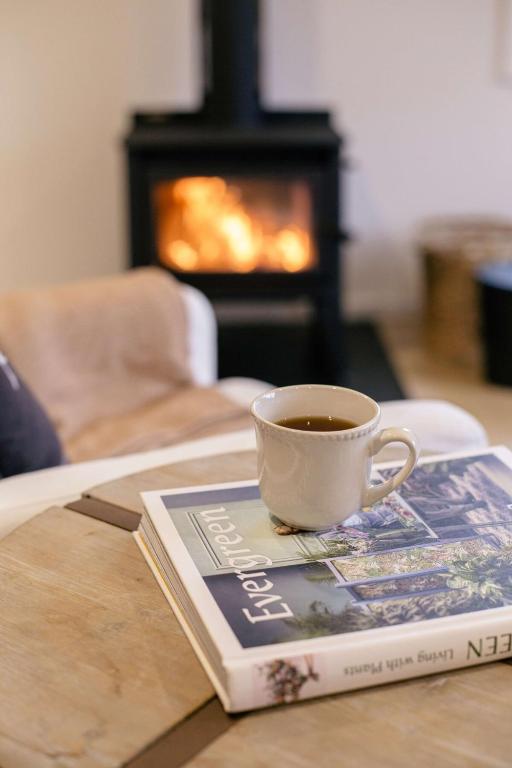 Amber Peak Chalet - Resim 6