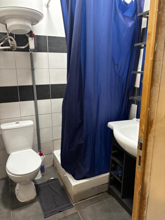 La salle de bains est pourvue de toilettes et d'un lavabo avec un rideau de douche bleu. dans l'établissement Studio 301 vieux port opéra, à Marseille