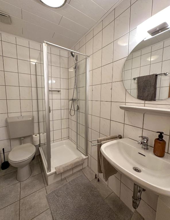 Hotel Traube Rheinhessen - Habitación Doble Con Baño Privado
