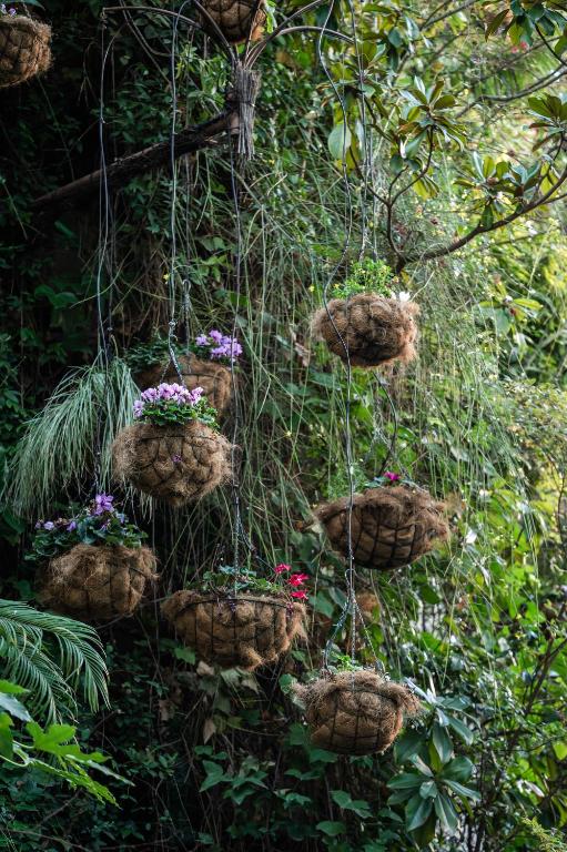 Inhala Hotel Garden - Resim 17