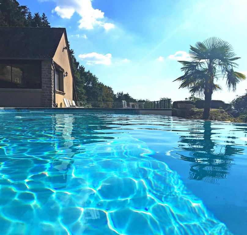 une piscine avec un palmier et une maison dans l'établissement Les maisons d'en haut & Piscine à débordement chauffée, à Saint-Rémy