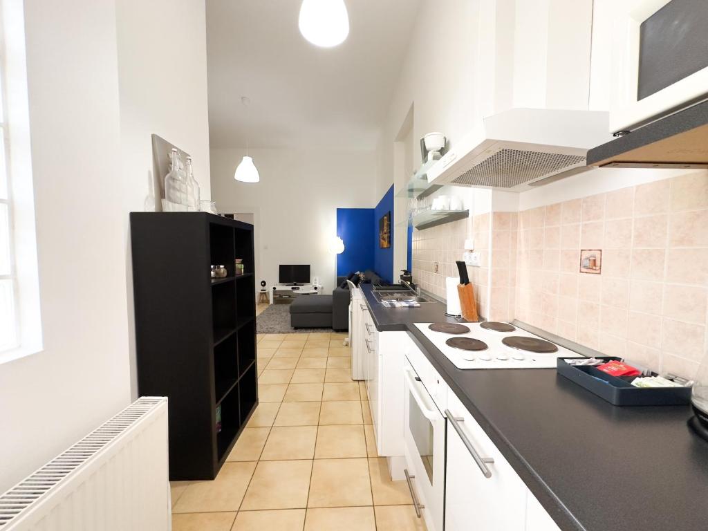 Kuchyňa alebo kuchynka v ubytovaní Charming 1BR Condo in Central Budapest - Skyline House