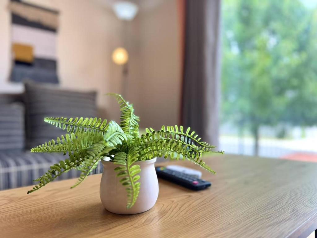 Modern Comfy 3 Bedrooms House in Chartwell - Resim 14