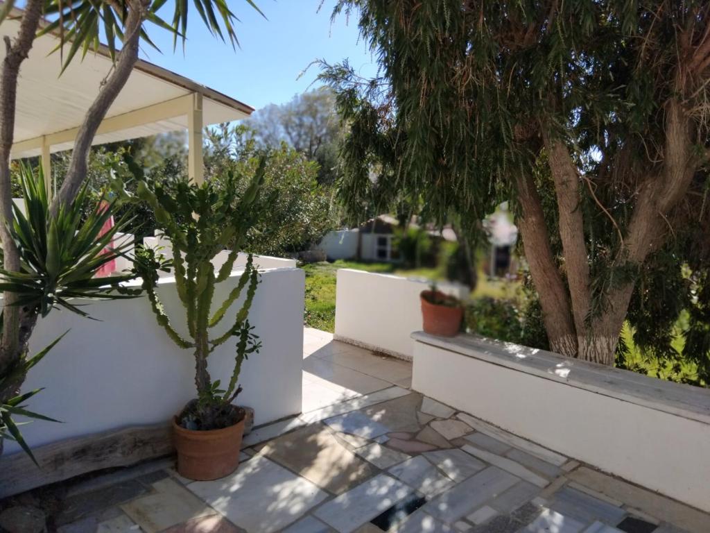 Gallery image of Petrakis Aris Beach Apartments in Léntas