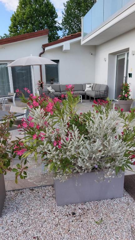 Zahrada ubytování I Delfini - Natural B&B