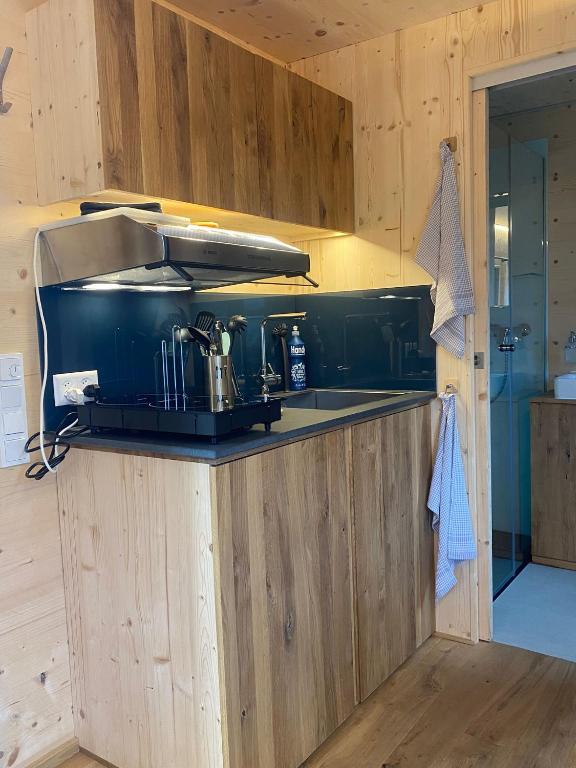 Unique Tiny Eco Lodges with gorgeous views to Jungfrau Massiv - Resim 6