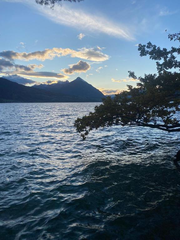 Unique Tiny Eco Lodges with gorgeous views to Jungfrau Massiv - Resim 39