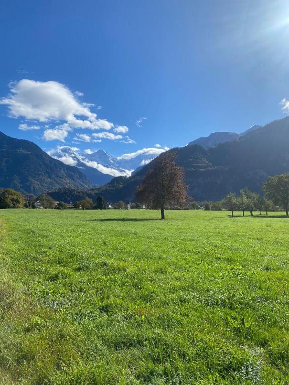 Unique Tiny Eco Lodges with gorgeous views to Jungfrau Massiv - Resim 42