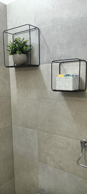 prysznic z rośliną na półce w łazience w obiekcie Riviera 34 w mieście Treviso