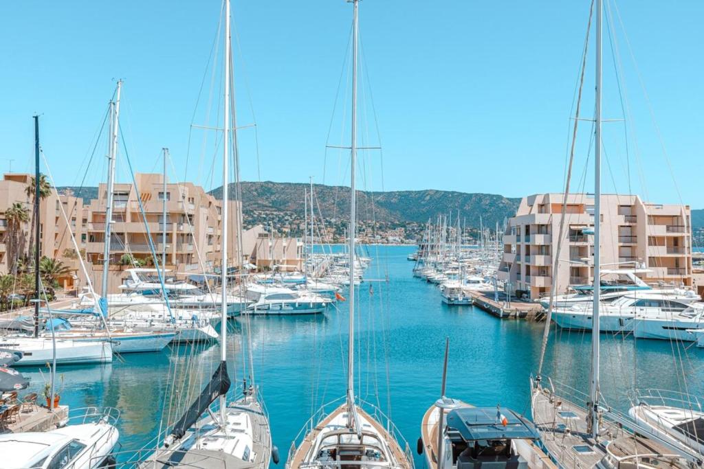a bunch of boats docked in a marina with buildings at Superb apartment on the port of Favière in Bormes-les-Mimosas