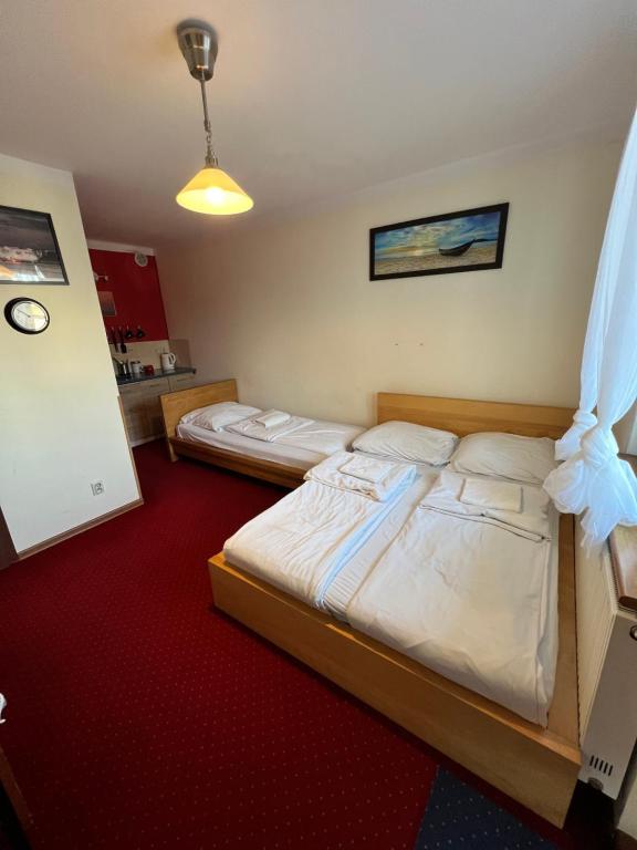 Noclegi AirportPark - 
