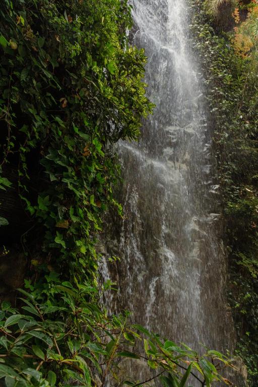 Inhala Hotel Garden - Resim 20