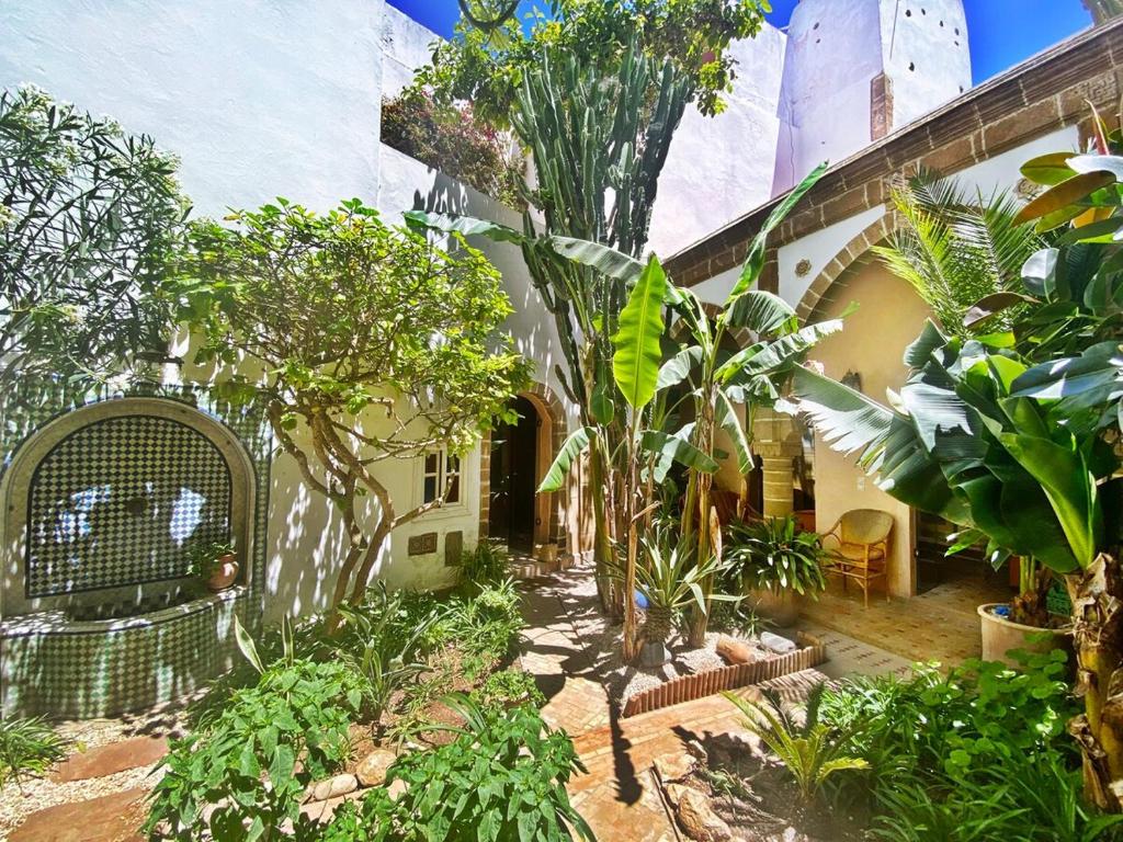 a courtyard of a house with trees and plants at Sublime Riad d'artiste au coeur de la médina d'Essaouira in Essaouira