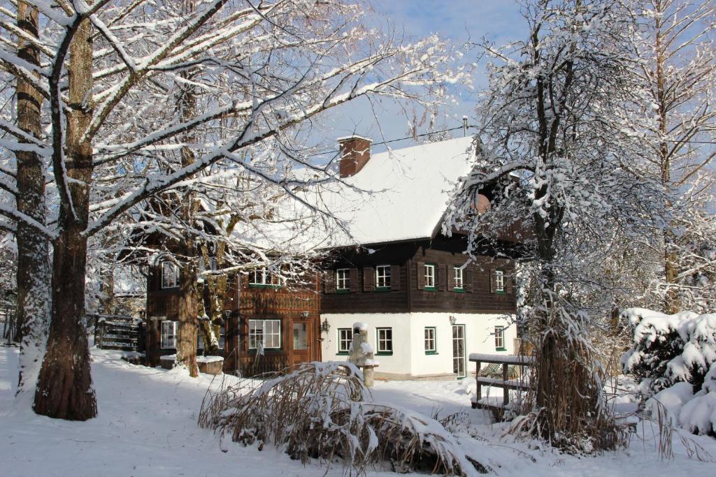 une maison recouverte de neige devant un arbre dans l'établissement Dachstein Chalet Goisern, à Bad Goisern