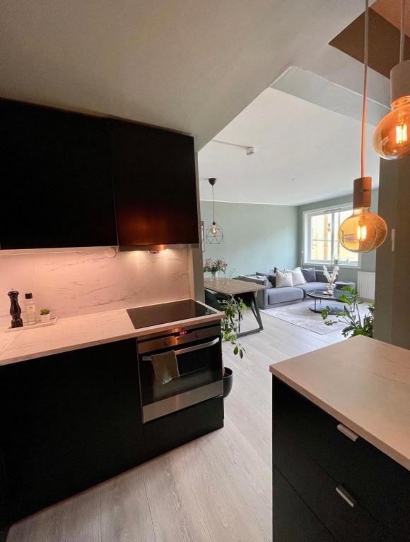 Kuchyň nebo kuchyňský kout v ubytování Apartment Bergen Central
