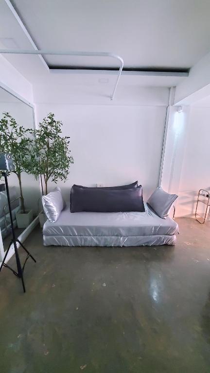 ShowRoom Studio - Shared Space