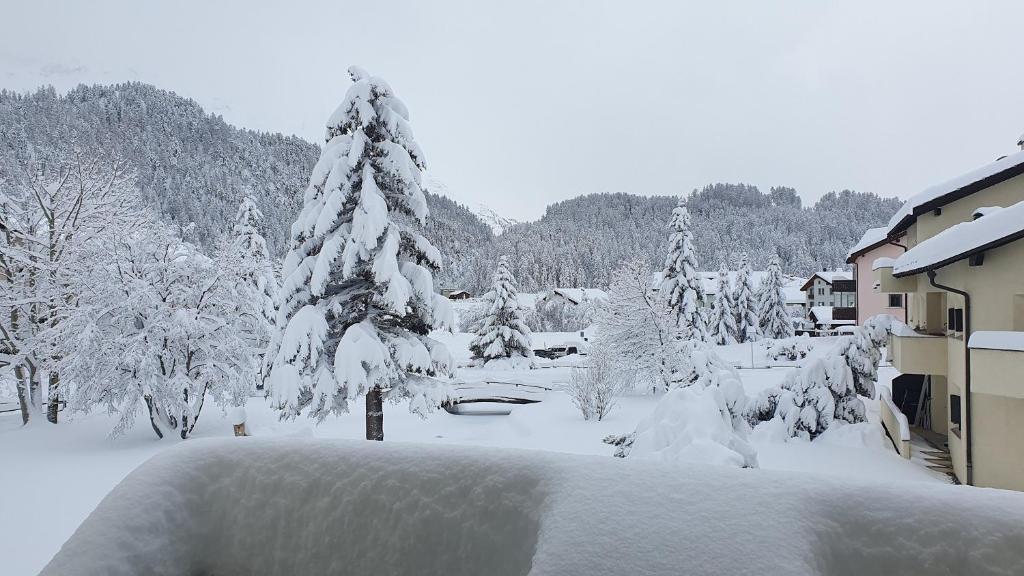 Το Chesa Chavriol - Celerina τον χειμώνα