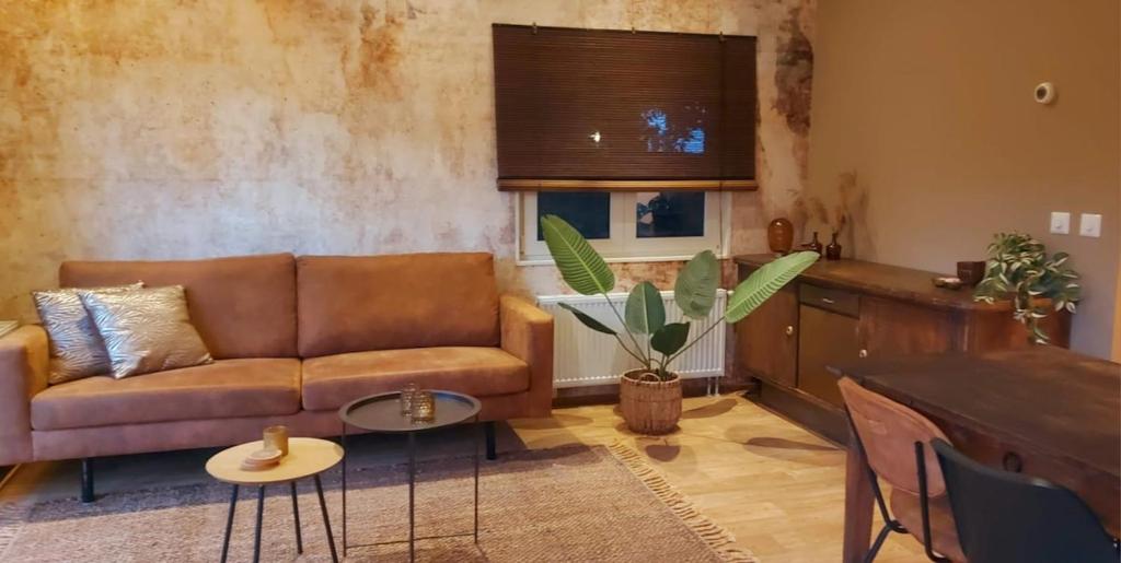 Televiisor ja/või meelelahutuskeskus majutusasutuses 't Tjilpplekje, 4-persoons chalet met privé hottub