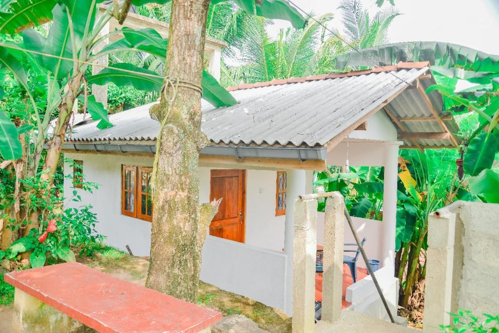 Zahrada ubytování Pradeepa house
