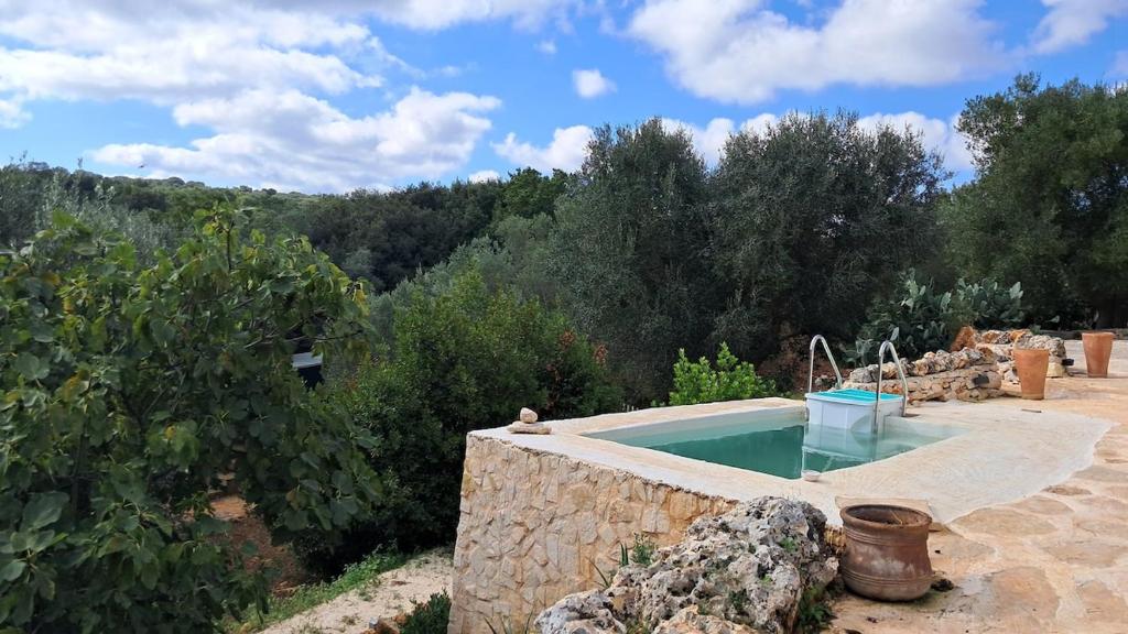 切列梅萨皮卡Conibianchi Trulli & YurtArt House的树木繁茂的花园里的游泳池