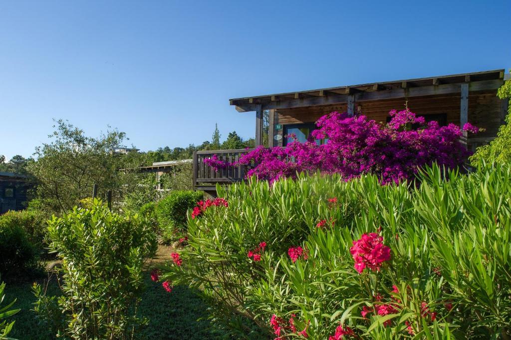 Zahrada ubytování Camping Sole Di Sari